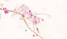 生肖属鸡妈妈和生肖属鸡爸爸2020年适合生宝宝吗，相宜相冲？