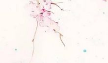 生肖属鸡妈妈和生肖属狗爸爸2020年适合生宝宝吗，性格相合？