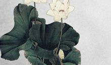 2020年2月生肖属猴人的桃花运好不好，能脱单吗