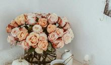 圣诞节血型人的爱情可能发生在哪在圣诞节那天，血型人的爱情最有可能发生在哪儿？