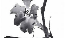 生肖属猴妈妈适合生什么生肖属相的宝宝，有福气