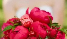 2020年农历九月和十月生肖属鼠和生肖属兔结婚吉日一览表