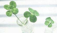 12星座土豪指数