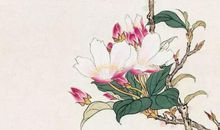 2020鼠年农历闰四月初二出生的女孩如何取名字，五行八字是什么