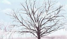 测你在班上的颜值排多少名 超过多少人