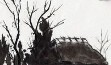 2020年2月生肖属猪人的桃花运好不好，能脱单吗