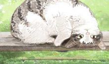 孕妇梦见很多不同动物预示什么意思