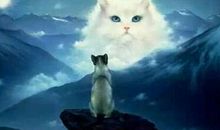 梦见亲人去世是什么意思