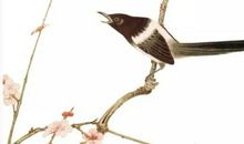 土命取名带什么好，土命人取名详解