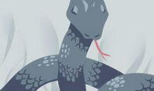 梦见有蛇进屋赶不走是什么意思 预兆