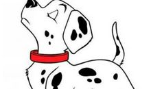 2020年5月属狗运势，本月寅宫驿马星动，易变动