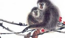 2020年5月属猴运势，财富运势开始反弹，能有稳固的财源