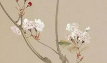 2020年4月1号三月初九出生的人性格命运解析，五行八字查询