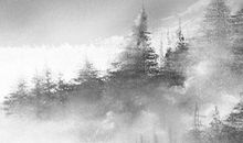 壬水逢2020庚子流年运势，鼠年偏印羊刃组合，草木皆兵