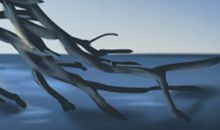 爱情对这些生肖可有可无