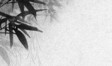 2020年有婚姻的女命八字，流年鸾喜出现在名字中的人