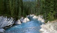 十二生肖女做家务贤惠排名