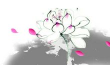 2020年7月29号出生的女孩怎么起名字，五行属什么