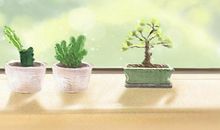 房子东边摆什么植物对风水比较好