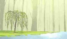 住宅风水煞气如何化解 化解方法