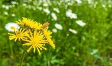 童心大，能够懂得哄孩子开心的3生肖女，带孩子不愁