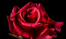 喜迎旺财运！在未来8天内3个生肖，财神爷来报道