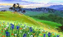 适合客厅摆放的植物有哪些 万年青