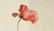 2020年4月3号三月十一出生的人性格命运解析，五行八字查询