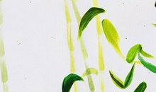 生辰八字起名：2019年12月24号出生的男孩取什么名字好