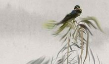 生辰八字起名：2019年12月29号出生的男孩取什么名字好