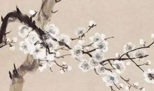 2020年闰四月出生的男宝宝取什么名字最好，楚辞取名