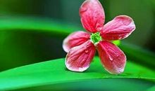 下半年霉运不再，好运不断的4大生肖