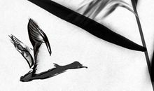 生辰八字起名：2019年12月31号出生的男孩取什么名字好