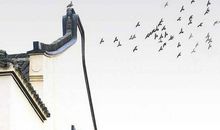 五行缺火的鼠宝宝如何取名，根据五行属火的汉字特性取名