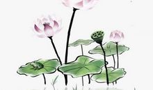 五行缺水的鼠宝宝如何取名，运用带水字旁的字取名