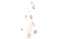 生肖属马人2020年9月搬家黄道吉日查询,有7天适合入宅乔迁