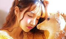 11月结束，择一人深爱，陪一人终老，3星座痴情不移，直到永远