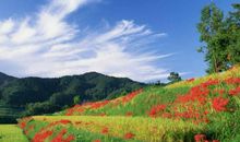 所有未时出生的人都是一个命吗，命运还需根据生辰八字决定