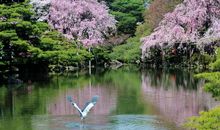 2020鼠年闰四月还会倒春寒吗 倒春寒是什么意思？(图文)