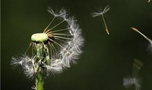 为什么被背叛的总是这个血型？心疼