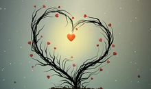 恋爱大神就是说的这些生肖！