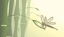 庭院风水禁忌 摆放什么好