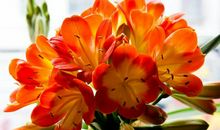 在6月份，情愫难断，冰释前嫌，回心转意的三大星座