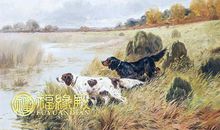 属狗的人能佩戴貔貅吗