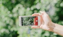 感情里最怕自己深情也害怕辜负，很矛盾的三个星座！