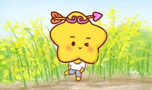 太优秀 倒追也没结果的四大星座