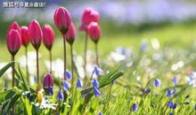 天蝎座身上有哪些秘密？