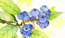 生肖属鼠人2020年10月适合搬家的好日子，有5天宜入宅乔迁