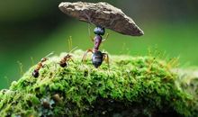 10月31号开始，福德宫有“文曲”，人旺财旺事业旺的四大生肖