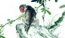 这三大生肖人，横财不断，注定生活富裕